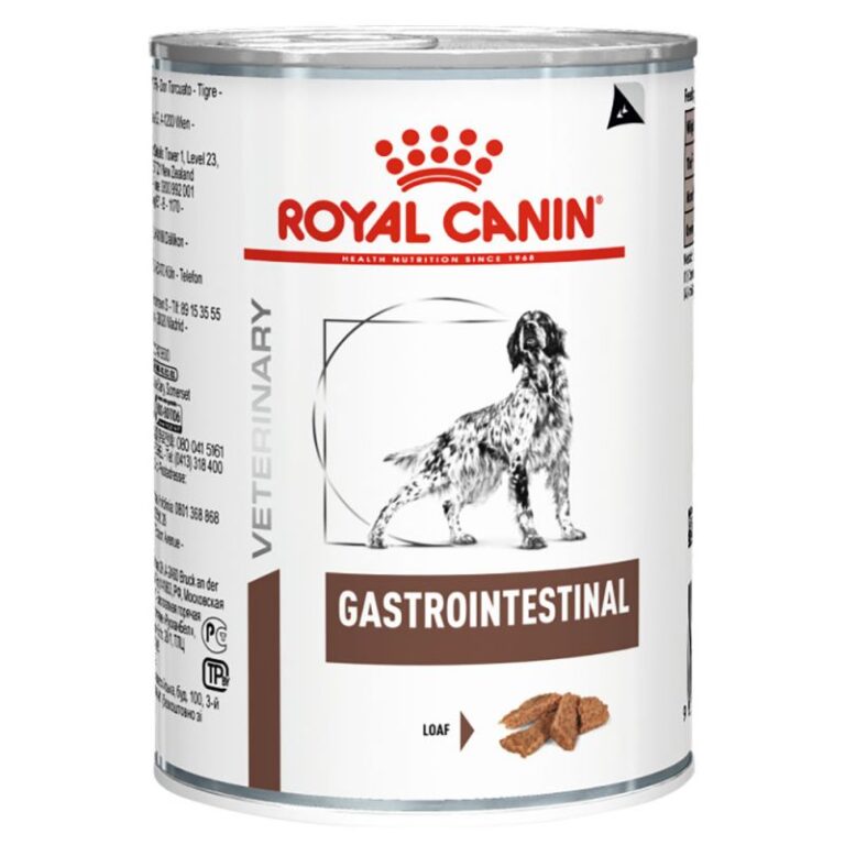 69571_pla_elvetis_royalcanin_veterinarydiet_canine_gastointestinal_400g_hs_01_2.jpg
