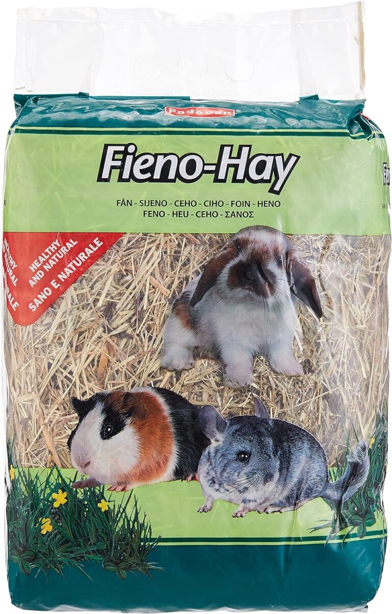 91HPFYJu7aL._AC_SL1500.jpg