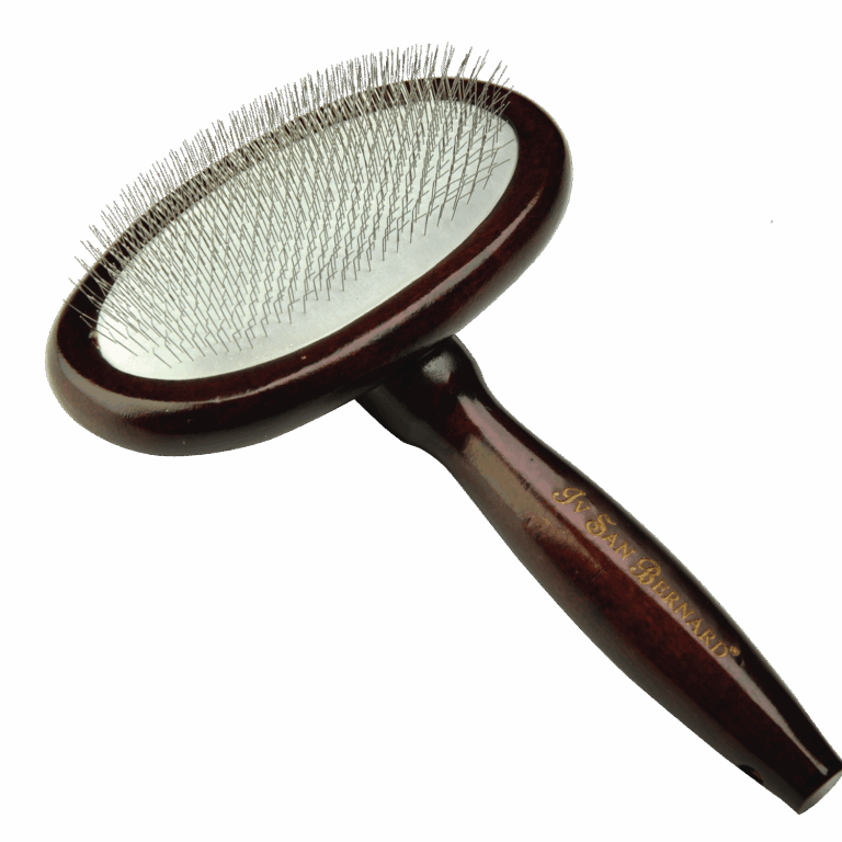 CARDATORE-TONDO-GRANDE-1.png