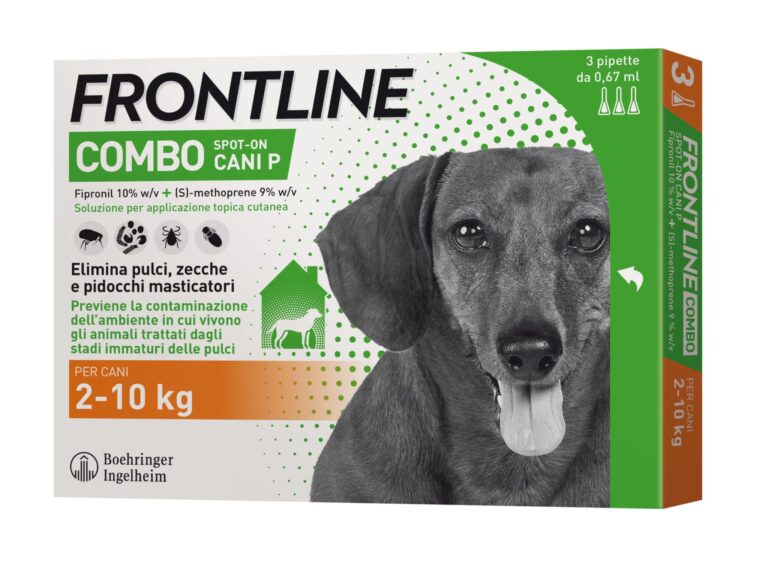 Pack-Combo-Cani-2-10-scaled-2048x1548-1.jpg