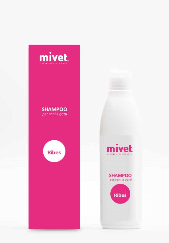 Shampoo-ribes.jpg