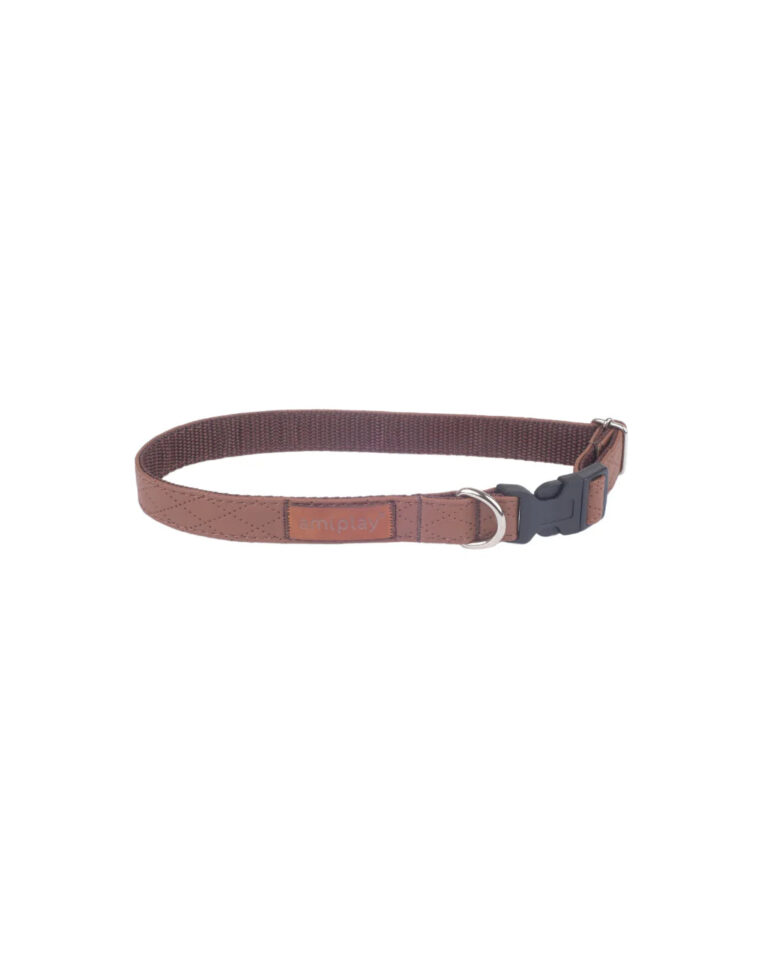 amiplay-collare-regolabile-new-york-marrone-l-xl-con-ricamo.jpg