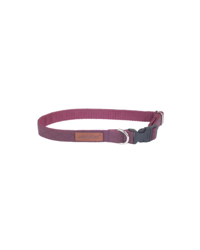 amiplay-collare-regolabile-new-york-rosso-borgogna-l-xl-con-ricamo.jpg