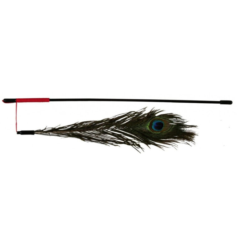 canna-da-pesca-con-piuma.jpg