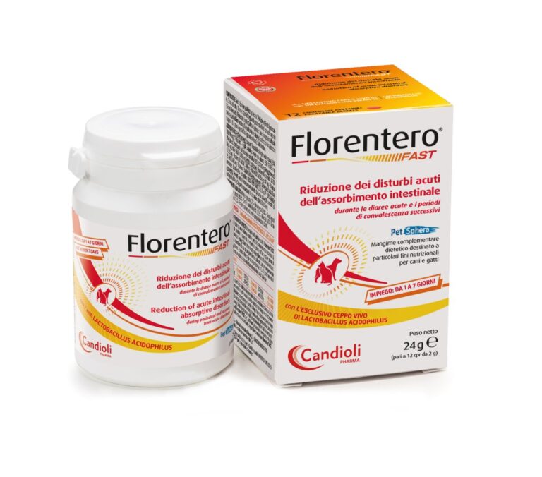 florenterofast12cprastuccio_large_49278dbd-5ddf-4291-a30e-a7abe19fe037.jpg