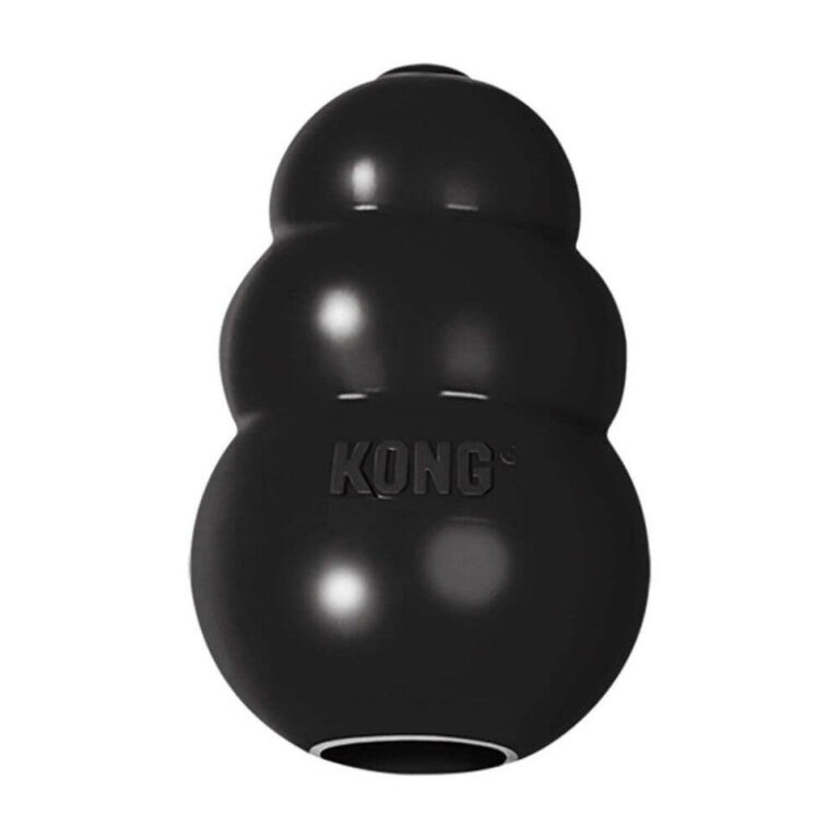 kong-k1-extreme-large.jpg