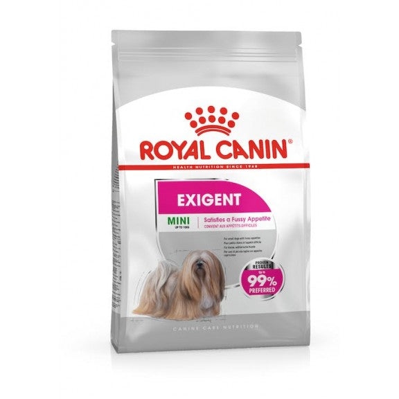 mini-exigent-kg-3.jpg