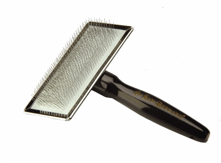 product_c_a_cardamedio_web.png
