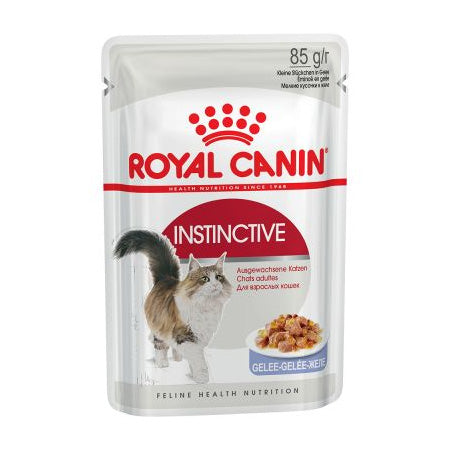 rc-cat-wet-instinctive-jelly-big.jpg