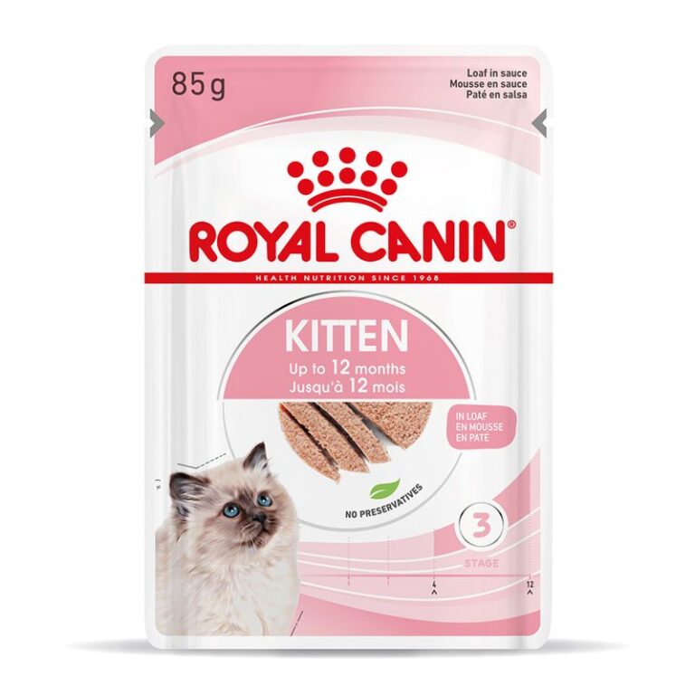 rc_spt_wet_kitten_loaf_mv_3_de_de_8.jpg