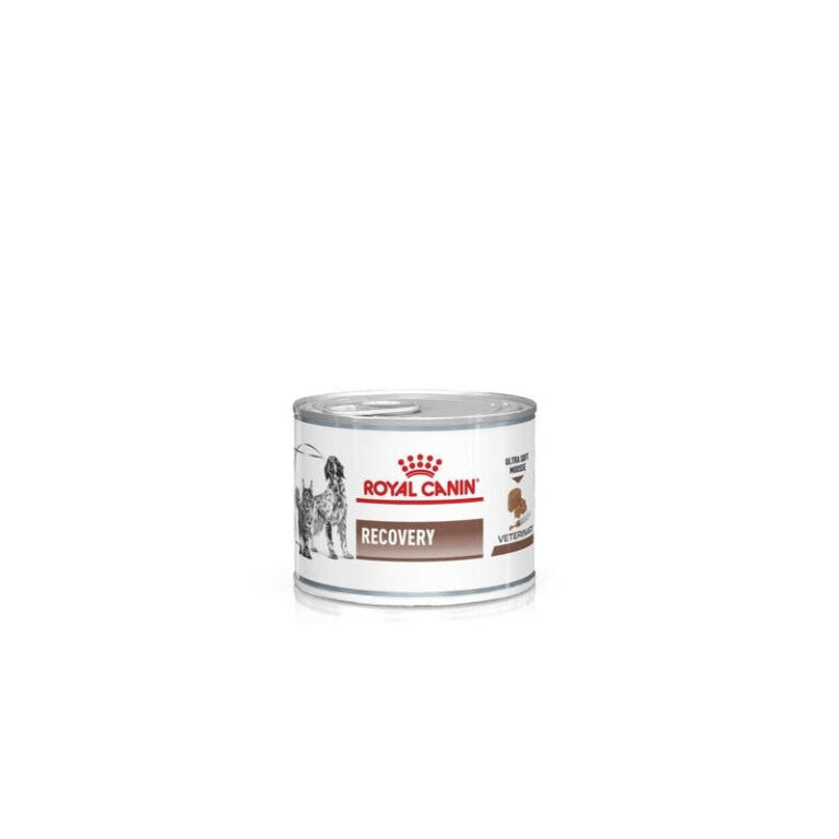 royal-recovery-dog-cat-195-gr-x-3-pz-box.jpg