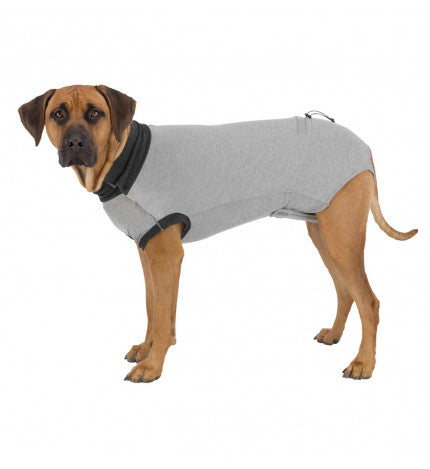 trixie-cane-body-protettivo-cane-s-m-40-cm-grigio_28342cde-e2fa-4648-a872-e782185c6dfc.jpg