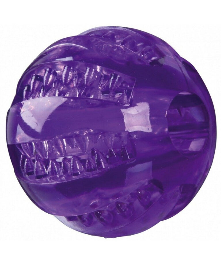 trixie-denta-fun-palla-in-tpr.jpg