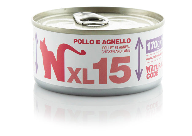 xl15.jpg